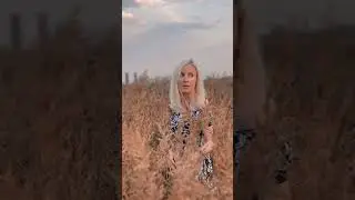 Колдстрим - Кеды (сниппет)