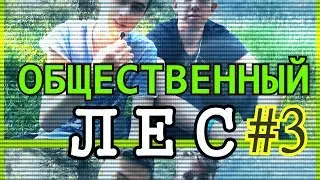 ОБЩЕСТВЕННЫЙ ЛЕС 3 / Шоу 