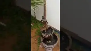 Tubewell aquarium