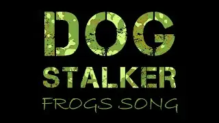 DOG-STALKER_4 FROGS SONG ☆ JORGE REYES - Fest in The Mountain ☆ Action Cam FDR-X3000 + LED Headlight