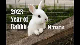 2023 Year of Rabbit