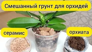 Орхиата и серамис для орхидеи || Пересадка орхидеи в орхиату и серамис
