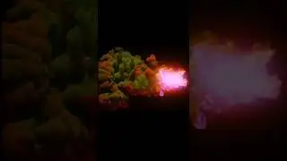 Best smoke effect for video editing