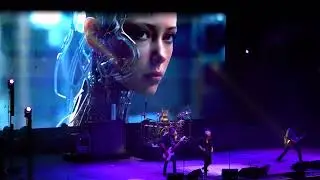2024 08 30 Stone Temple Pilots - Army Ants
