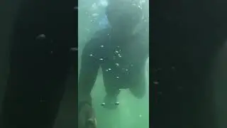 Snorkeling (stress relief)