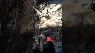 Каменистая тропа по лесу на Иремель