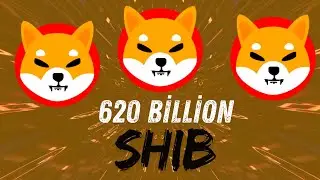 620 Billion Shiba Inu !!!!!!!!!!!!! ! Shiba Price Prediction