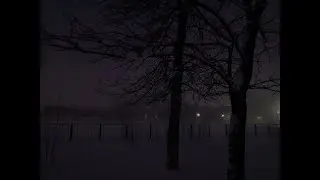 Сидим, общаемся и поём под гитару