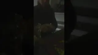 Бит