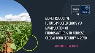 Future-proofed crops via manipulation of photosynthesis to address global food security in 2050