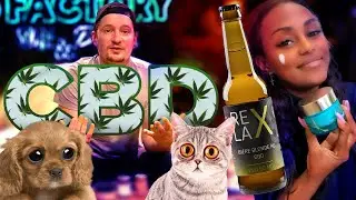 CBD POUR CHIEN ET CHAT, COSMETIQUE, COMESTIBLE - LE CBD SOUS TOUTES SES FORMES !