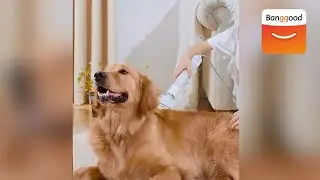 Uah Pet Hair Water Blower Pet Hair Dryer