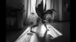 Galeria wyróżnionych zdjęć fotografii rodzinnej 2019 - podsumowanie projektu fotograficznego