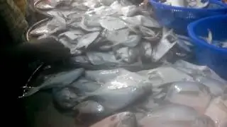 Fresh seafood for sale near me || Fish market near my location || Fresh seafood market