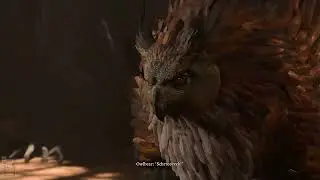 owlbear home invasion | solo level 4 paladin | Honour Mode | no tadpole powers