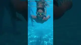 Мой маленький кит в gypsophila club marine