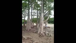 Анапа# кипарисовое озеро#