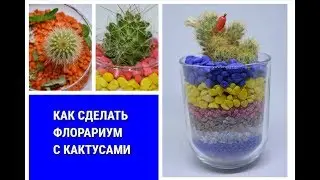 # Флорариум  Композиции с кактусами