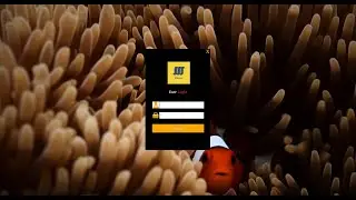 C# User Interface Design for Login Form and connection between login data and mysql database