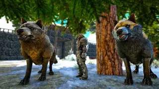 Стена, зима и волки | ARK Crystal Isles #11