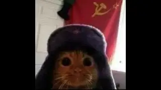 БИТВА СТРОИТЕЛЕЙ МАЙНКРАФТ СТРИМ