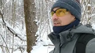 влог. 2 января, прогулка по лесу. встретил косуль