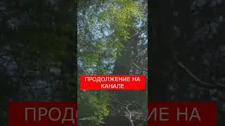 📕 Истории из жизни 📗 Счастье найдет тебя само 📙 Жизненные истории 📕