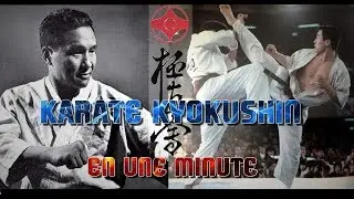 LE KARATE KYOKUSHINKAI ?!