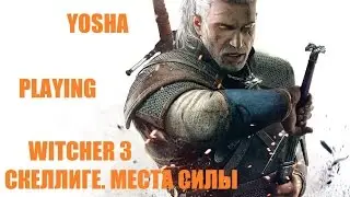 Ведьмак 3. Места силы Скеллиге. Крутой гайд. Мастерский доспех школы Грифона.