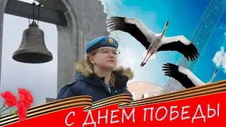 Журавли 9 мая 2024