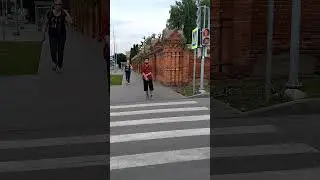 идейный светофор 16 августа 2023 г.