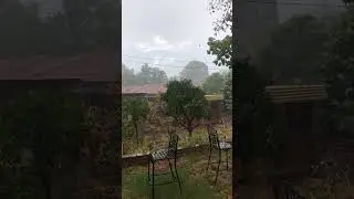 Another Beautiful Summer STORM, thunder at the end of video #desert #gardening