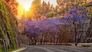Ciudad de Guatemala en tiempo de toque de queda