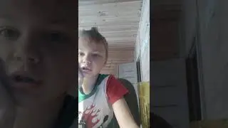 текст про Дельвина английский язык