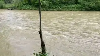 Отдых на гуамке