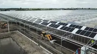 Luiten Kwekerij | 2022-06-08