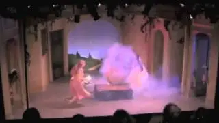 Cinderella's Carriage Transformation