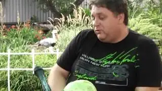 Агрошкола 