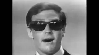 The Wellingtons - Sunglasses (1965)