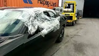 Купил на аукционе Канады заряженный Dodge Challenger 2019 AWD