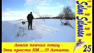 Ловля певчих птиц тайником - Это просто ПИ....!!! Лопата. 25 часть(1)