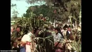 Tau'a'alo Holonga (1)
