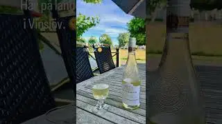 21 juli 2024 Vinslöv.