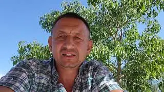 Студенческая виза F-1. Алгоритм действий.