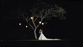 The Wedding of Arian and Kim