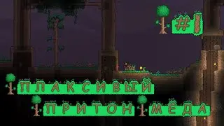 Плаксивый притон мёда • Terraria #1