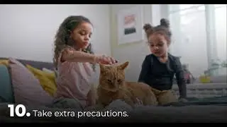 How to keep your pets safe during the pandemic | Crown Asia Tips