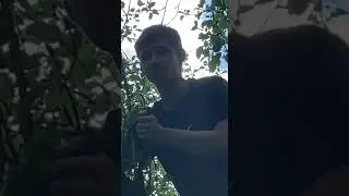 Помогите!!!