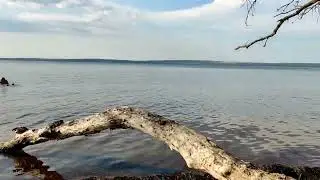 Лето. Жара. Уговорила мужа поехать отдыхать. В итоге, он доволен. Вот что мы там увидели.