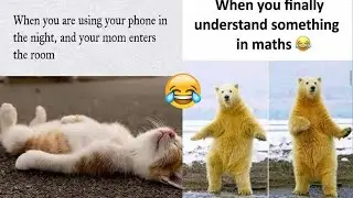 😂Funny Memes That Will Make You Laugh😂|🤣School Memes🤣| 😂Relatable Memes😂| Memes #58
